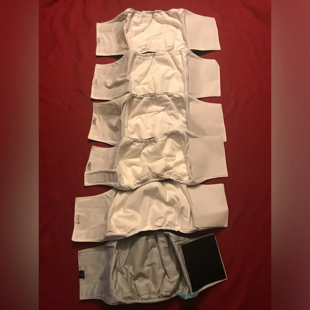 NEW Set Of 6 Reusable Belly Bands